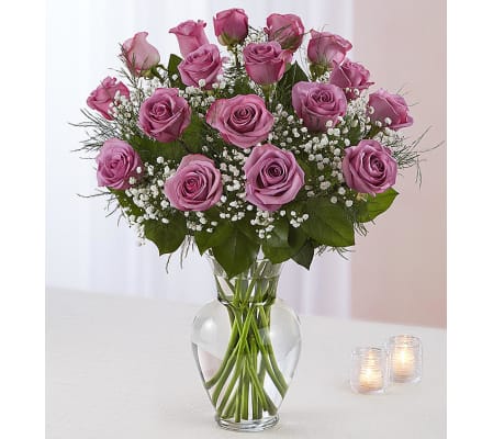 Beautiful Long Stem Lavender Roses