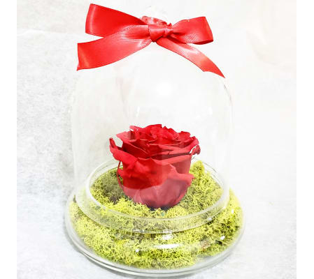 Eternal Rose
