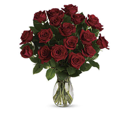 Dozen Long Stem Roses