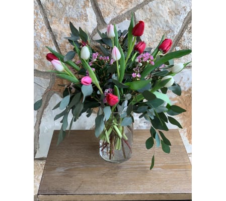 Tulip Fun