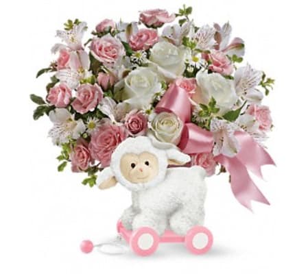Sweet Little Lamb - Pink