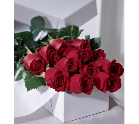 Boxed Dozen Red Roses