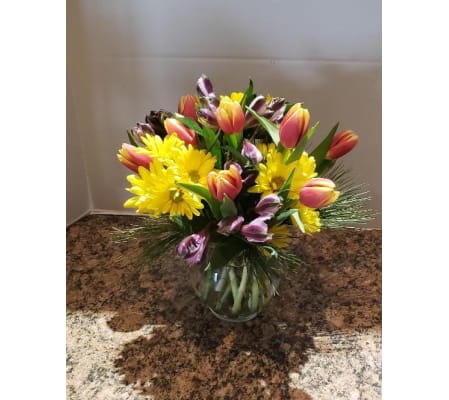 Daisies & Tulips