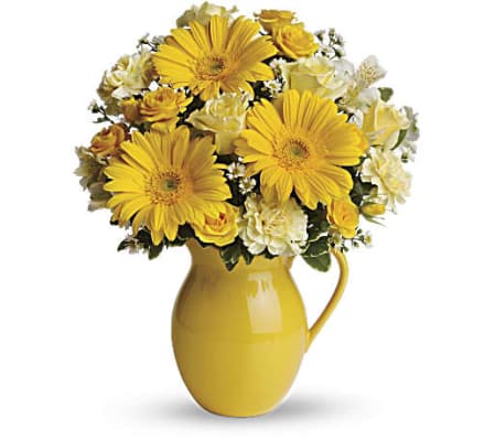 Pitcher of Happiness