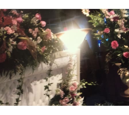 Sympathy Overhead Collection I