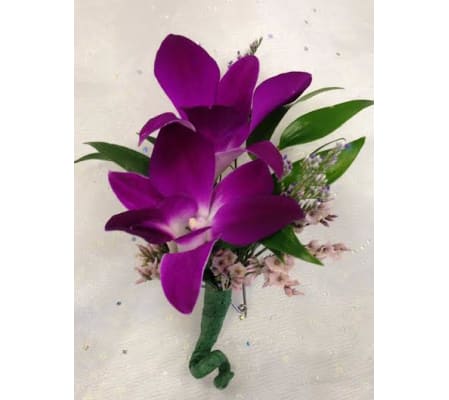 Bout 4 - Purple dendrobium orchids (pick up only)