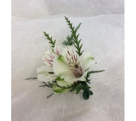 Bout 10 - White alstro (pick up only)