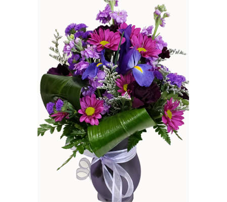 Spring time in Mauve