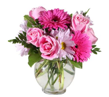 Sweetest Surprises