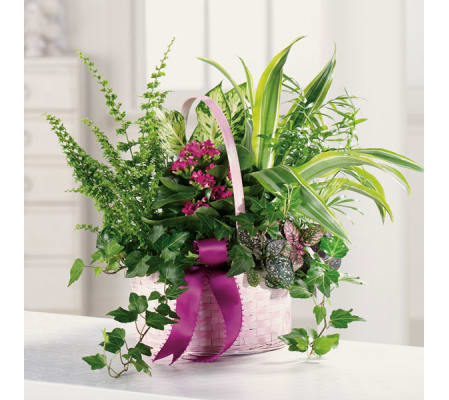 Flowering Memory Dish Garden