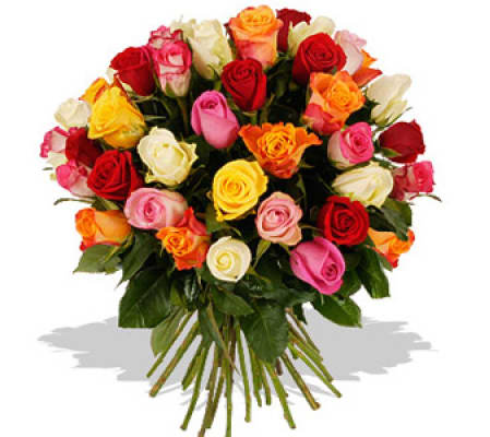 Beautiful Roses
