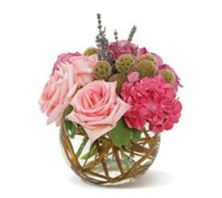 Rose Beauty
