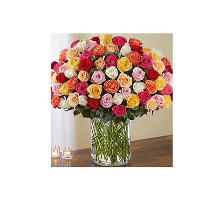 Roses Roses