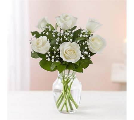 6 White roses w/vase
