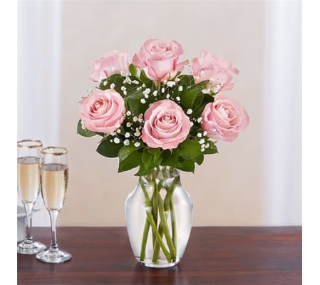 6 Pink Roses w/vase