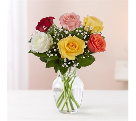 6 Rainbow Roses w/vase