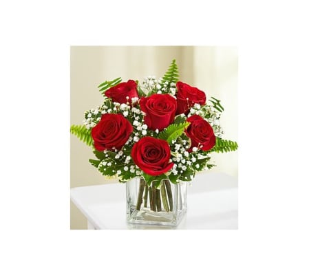 6 Red Roes w/vase