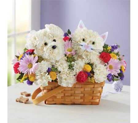 Birthday Pals Dog & Cat In Basket