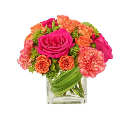 Magnificent Blooms Cube