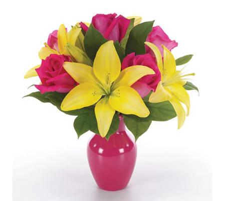 Celebrate The Beautiful Day