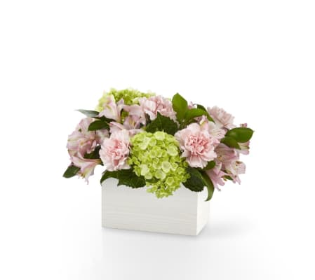 FTD Sweet Charm
