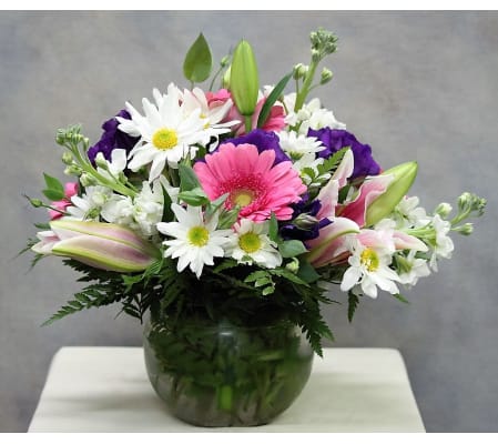 Fragrant Stargazer