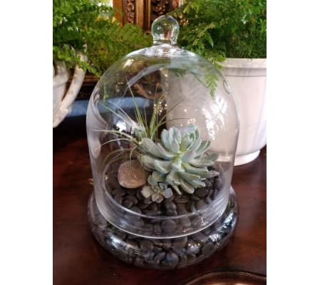 SMALL CLOCHE