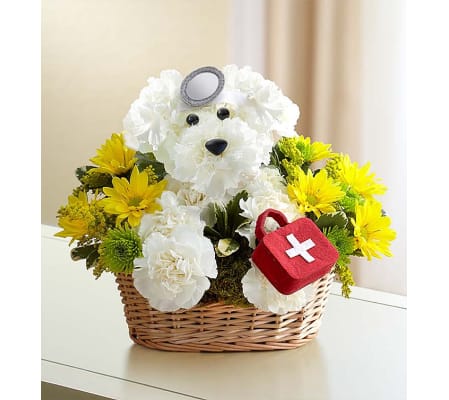 DOGGIE HOWSER
