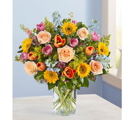 Sensational Spring