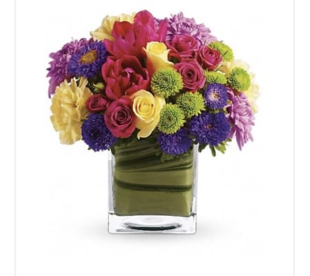 A Blossoms In Vogue