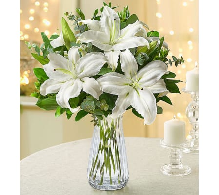 All White Lilies