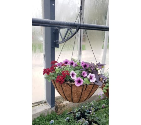 Hanging Basket for Sun