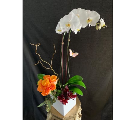 Orchid Paradise & Roses
