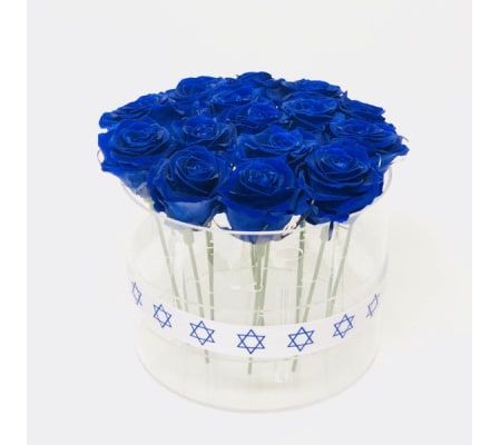 Acrylic Box cylinder - 15 roses