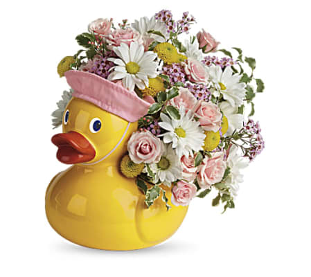 It's A Girl Duck