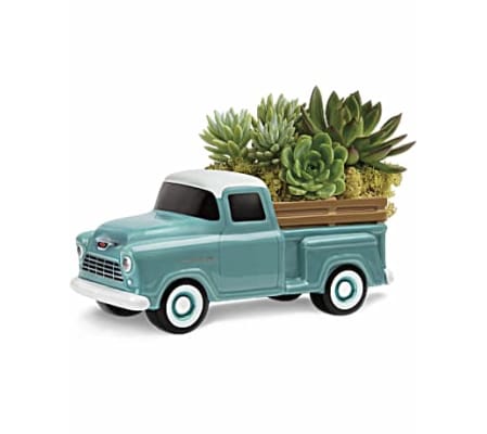 Chevy Full of Succulents