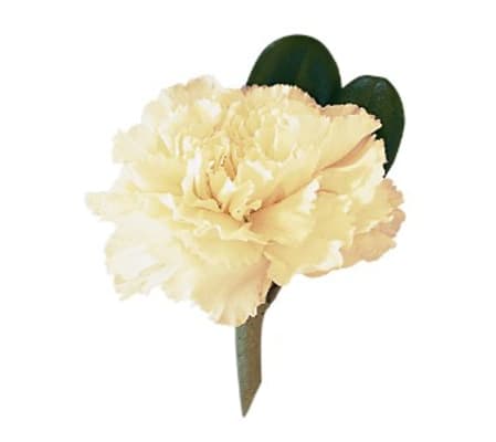 Carnation Boutonniere