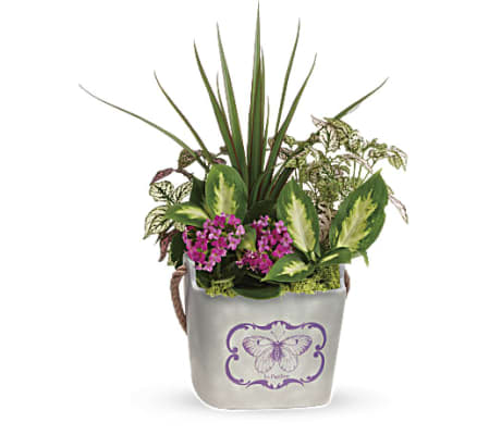 Butterfly Hideaway Plant Garden