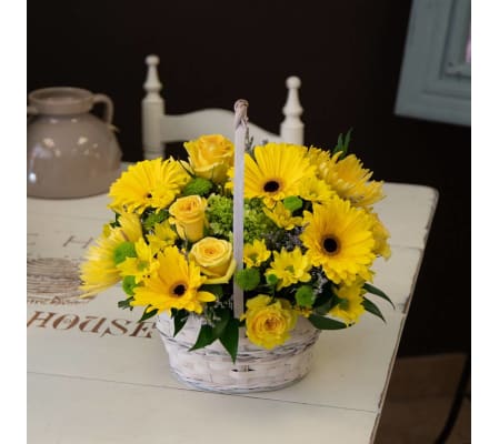 A Burst of Sunshine