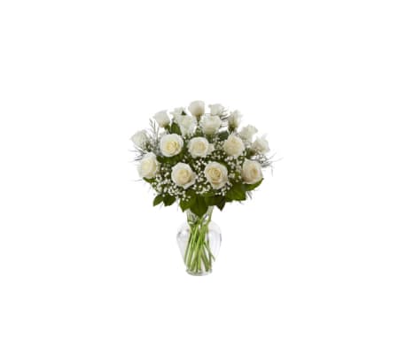 1 Dozen Deluxe White