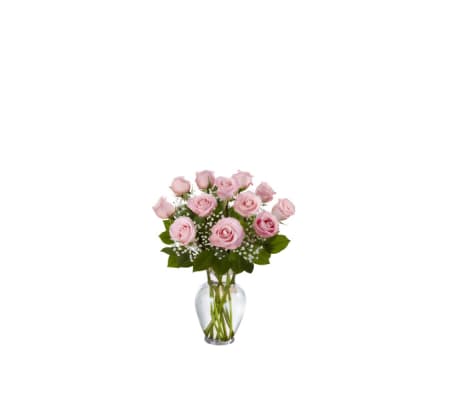 1 Dozen Deluxe Pink Roses