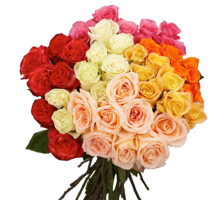 18 Long Stem Assorted Roses