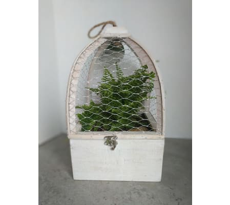 Fern Planter