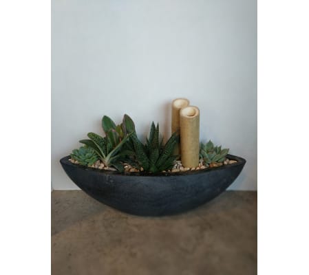 Succulent Boat Planter