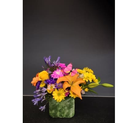 Spring From The BloomBox