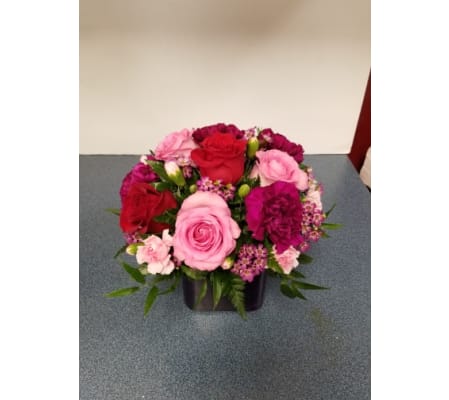 Beautiful Roses for any Occasion