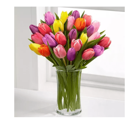 Rush Color Of Tulips