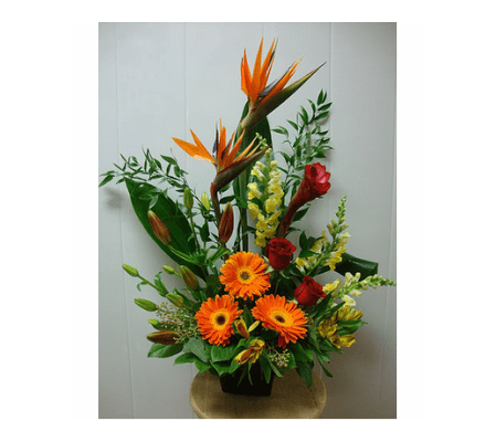 BRIGHT TROPICS