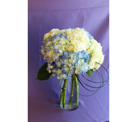Skipper Blues - Cohasset Collection TM