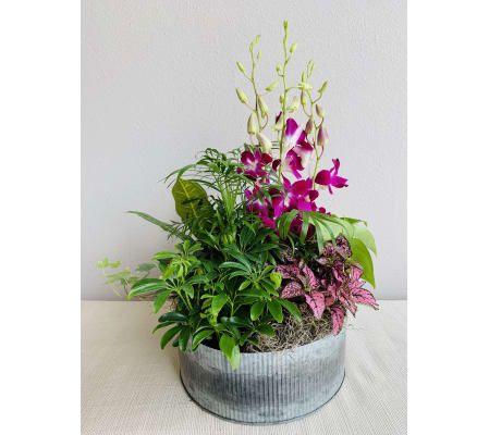 Rustic Round Galvanized Dish Garden